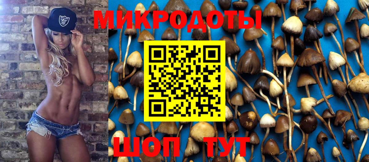 Йошкар-Ола  Галлюциногенные грибы GOLDEN TEACHER  Вход с VPN 