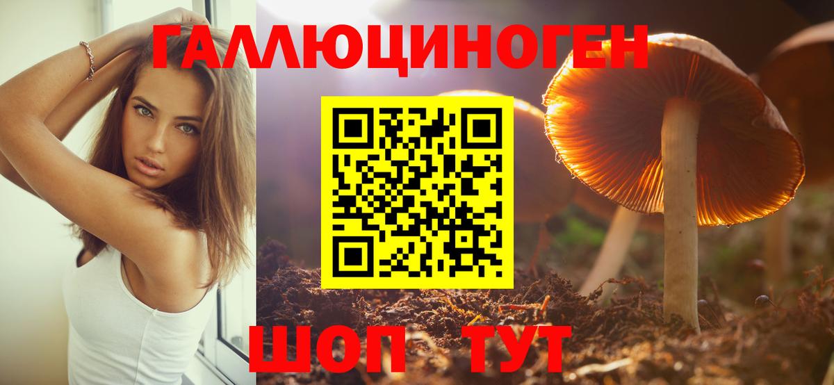 Галлюциногенные грибы GOLDEN TEACHER Йошкар-Ола